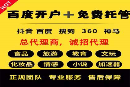 百度广告投放策略：成功案例解析